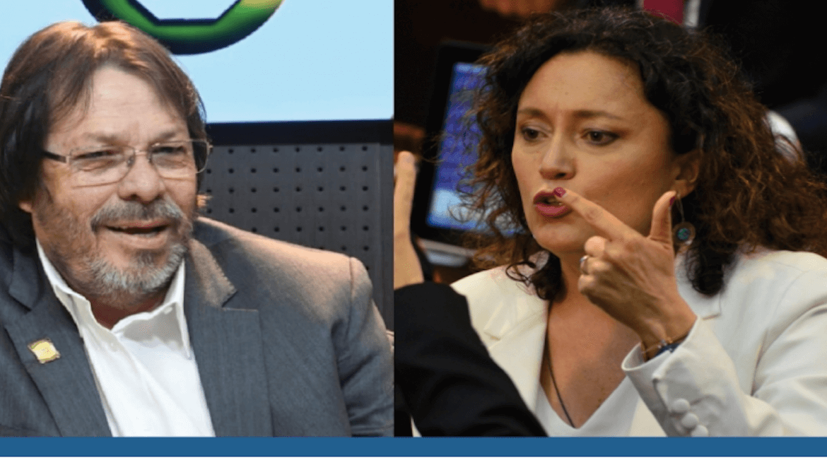 Congreso virtual: el debate por su legalidad 1