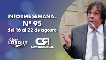 Cesar Lorduy informe 95