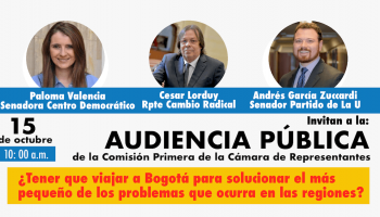 Audiencias pública (descentralización)