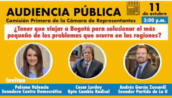 Audiencia Pública