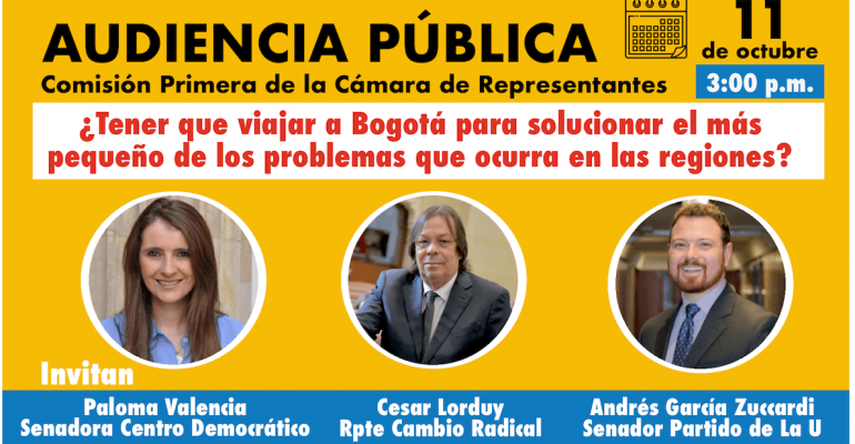 Audiencia Pública