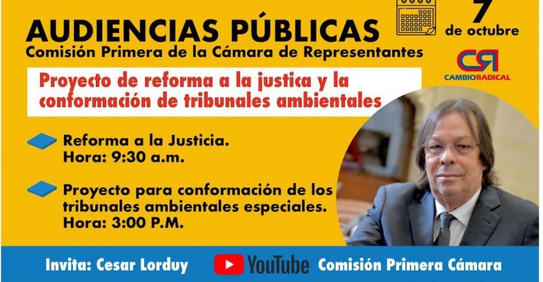 Audiencias publicas 7 de octubre (1)