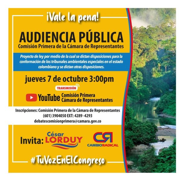 Audiencia Pública - Cesar Lorduy