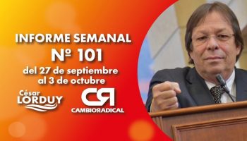 Informe 101