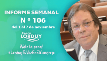 Informe de actividades de Cesar Lorduy