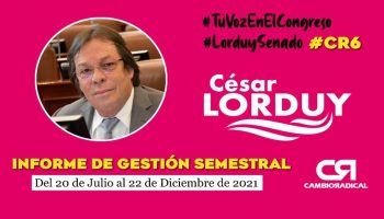 Informe semestral
